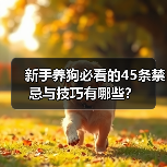 新手养狗必看的45条禁忌与技巧有哪些？（图4）