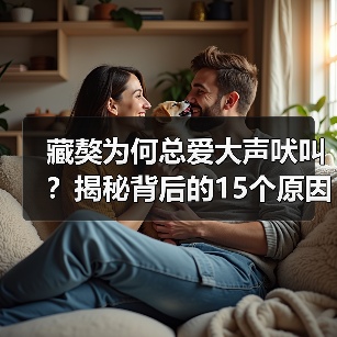藏獒为何总爱大声吠叫?揭秘背后的15个原因(图1) 藏獒为何总爱大声吠叫?揭秘背后的15个原因(图1)