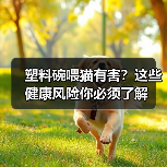 塑料碗喂猫有害？这些健康风险你必须了解（图1）