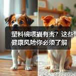 塑料碗喂猫有害？这些健康风险你必须了解（图3）