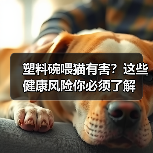 塑料碗喂猫有害？这些健康风险你必须了解（图4）