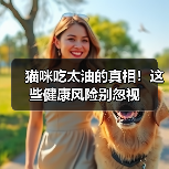 猫咪吃太油的真相！这些健康风险别忽视（图2）