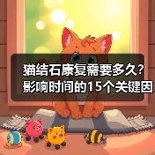 猫结石康复需要多久?影响时间的15个关键因素(图3) 猫结石康复需要多久?影响时间的15个关键因素(图3)