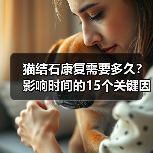 猫结石康复需要多久?影响时间的15个关键因素(图4) 猫结石康复需要多久?影响时间的15个关键因素(图4)