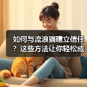 如何与流浪猫建立信任?这些方法让你轻松成为它们朋友(图1) 如何与流浪猫建立信任?这些方法让你轻松成为它们朋友(图1)