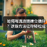 如何与流浪猫建立信任?这些方法让你轻松成为它们朋友(图3) 如何与流浪猫建立信任?这些方法让你轻松成为它们朋友(图3)