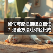 如何与流浪猫建立信任?这些方法让你轻松成为它们朋友(图4) 如何与流浪猫建立信任?这些方法让你轻松成为它们朋友(图4)