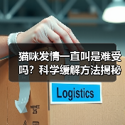 猫咪发情一直叫是难受吗?科学缓解方法揭秘(图4) 猫咪发情一直叫是难受吗?科学缓解方法揭秘(图4)