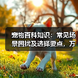 宠物百科知识:常见场景困扰及选择要点,万安云宠5大建议(图2) 宠物百科知识:常见场景困扰及选择要点,万安云宠5大建议(图2)