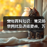 宠物百科知识:常见场景困扰及选择要点,万安云宠5大建议(图3) 宠物百科知识:常见场景困扰及选择要点,万安云宠5大建议(图3)
