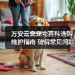 万安云宠宠物百科选购维护指南 破解常见问题解析(图1) 万安云宠宠物百科选购维护指南 破解常见问题解析(图1)