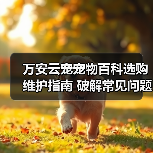 万安云宠宠物百科选购维护指南 破解常见问题解析(图3) 万安云宠宠物百科选购维护指南 破解常见问题解析(图3)