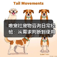 唯宠社宠物咨询日常经验：从需求判断到使用维护全攻略（图4）
